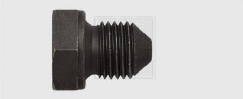 Ölablassschraube M14 x 1,5 x 17,5 mit Dichtring, Stahl 1Stk.