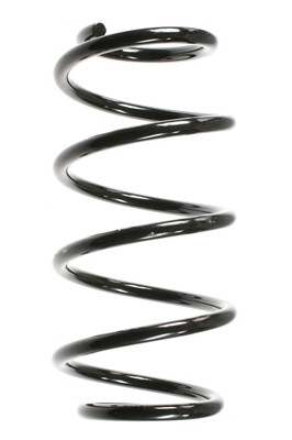 SPIDAN Fahrwerksfeder