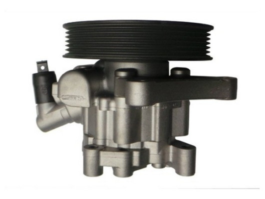 SPIDAN Hydraulikpumpe, Lenkung