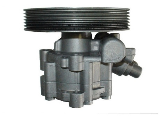 SPIDAN Hydraulikpumpe, Lenkung