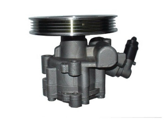 SPIDAN Hydraulikpumpe, Lenkung