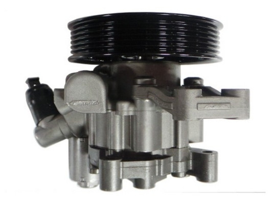 SPIDAN Hydraulikpumpe, Lenkung