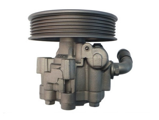 SPIDAN Hydraulikpumpe, Lenkung