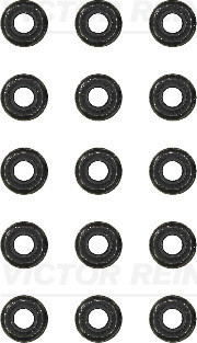 VICTOR REINZ Dichtungssatz, Ventilschaft