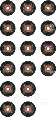 VICTOR REINZ Dichtungssatz, Ventilschaft