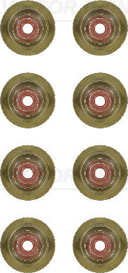 VICTOR REINZ Dichtungssatz, Ventilschaft