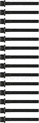 VICTOR REINZ Zylinderkopfschraubensatz