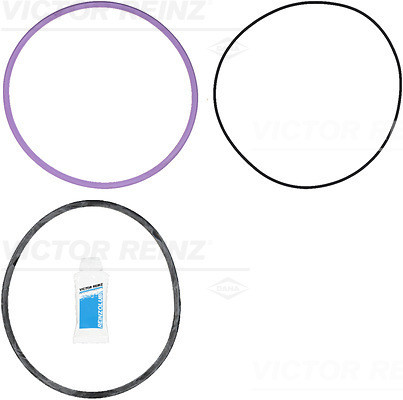 VICTOR REINZ Dichtungssatz, Zylinderlaufbuchse