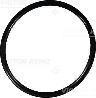 VICTOR REINZ Dichtring