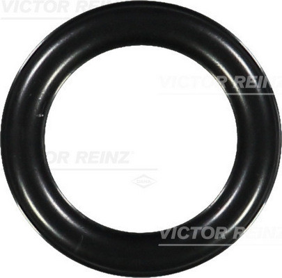 VICTOR REINZ Dichtring