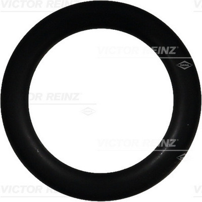 VICTOR REINZ Dichtring