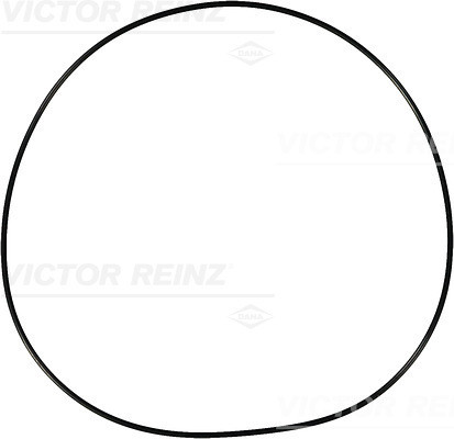 VICTOR REINZ Dichtring