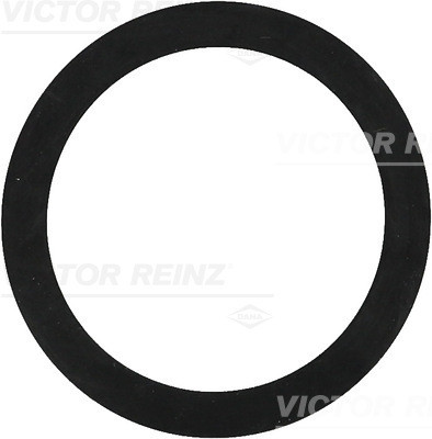 VICTOR REINZ Dichtring
