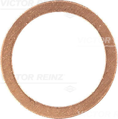 VICTOR REINZ Dichtring