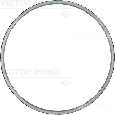 VICTOR REINZ Dichtung, Zylinderkopf