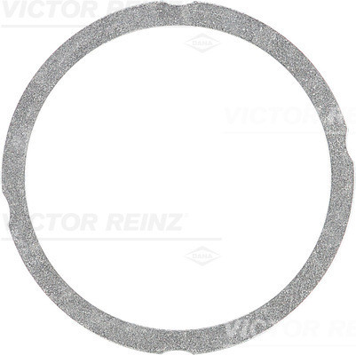 VICTOR REINZ Dichtung, Zylinderkopf
