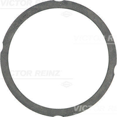 VICTOR REINZ Dichtung, Zylinderkopf