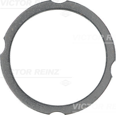 VICTOR REINZ Dichtung, Zylinderkopf