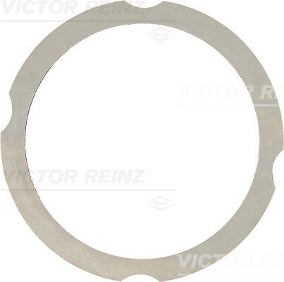 VICTOR REINZ Dichtung, Zylinderkopf