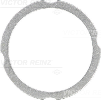 VICTOR REINZ Dichtung, Zylinderkopf