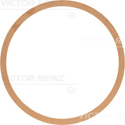 VICTOR REINZ Dichtung, Zylinderkopf
