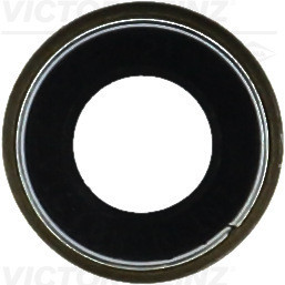 VICTOR REINZ Dichtring, Ventilschaft