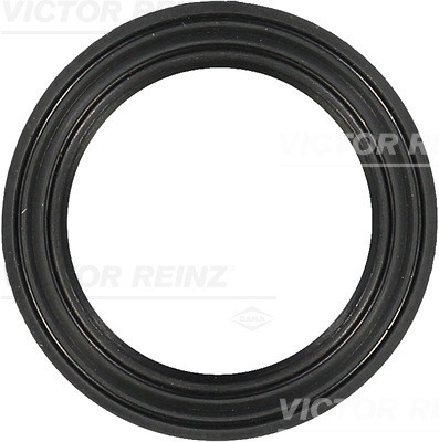 VICTOR REINZ Dichtung, Kerzenschaft