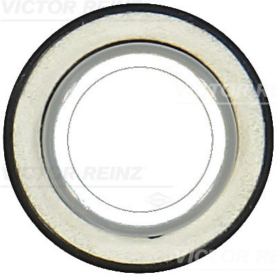 VICTOR REINZ Wellendichtring, Kurbelwelle