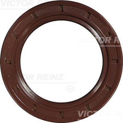 VICTOR REINZ Wellendichtring, Nockenwelle