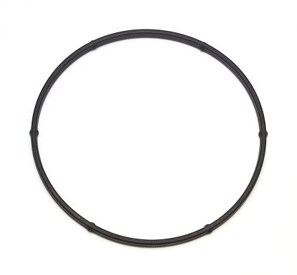 ELRING Dichtung, Wasserpumpe