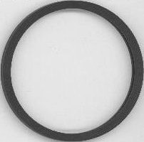 ELRING Dichtung, Thermostat