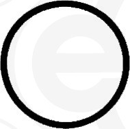 ELRING Dichtung, Ansaugkrümmer