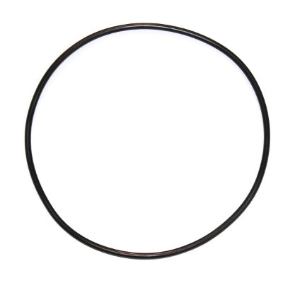 ELRING Dichtring