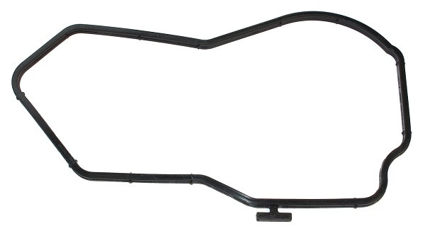 ELRING Dichtung, Wasserpumpe