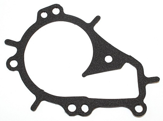 ELRING Dichtung, Wasserpumpe