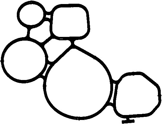 ELRING Dichtung, Wasserpumpe