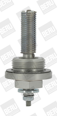 BorgWarner (BERU) Glühkerze, Standheizung
