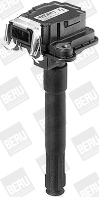 BorgWarner (BERU) Zündspule