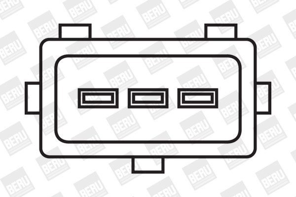 BorgWarner (BERU) Zündspule