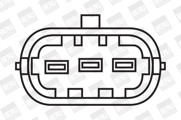 BorgWarner (BERU) Zündspule