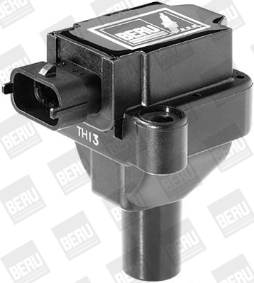 BorgWarner (BERU) Zündspule