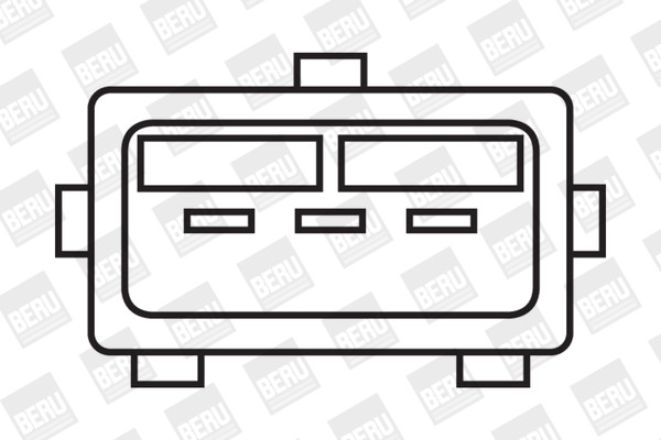 BorgWarner (BERU) Zündspule