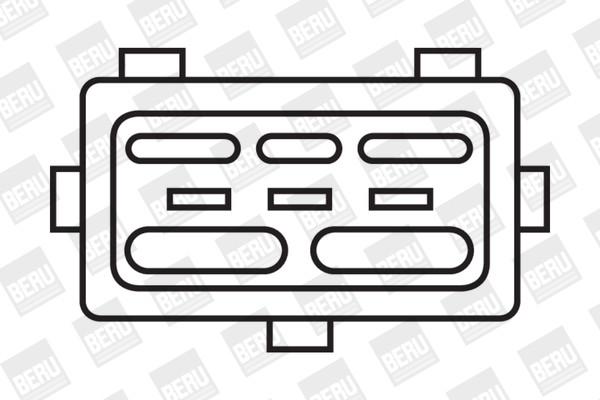 BorgWarner (BERU) Zündspule