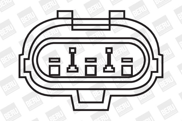 BorgWarner (BERU) Zündspule