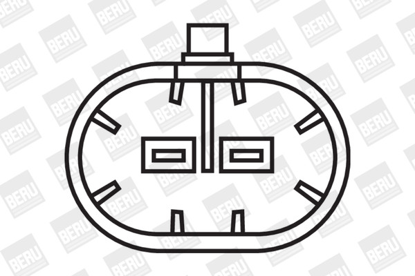 BorgWarner (BERU) Zündspule
