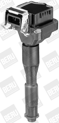 BorgWarner (BERU) Zündspule BorgWarner (BERU) Zündspule