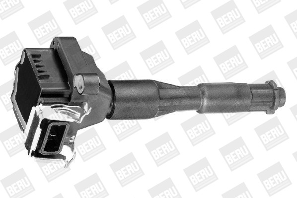 BorgWarner (BERU) Zündspule BorgWarner (BERU) Zündspule