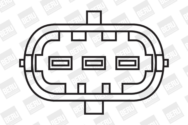 BorgWarner (BERU) Zündspule