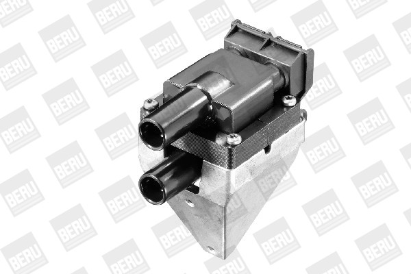 BorgWarner (BERU) Zündspule