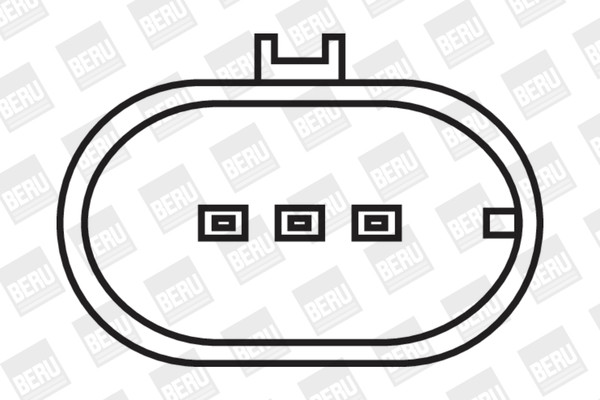 BorgWarner (BERU) Zündspule